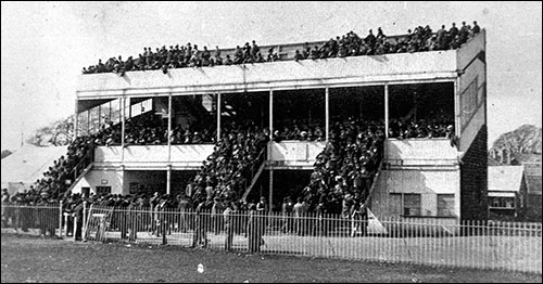 Photo of Cardiff racecourse grandstand c.1898